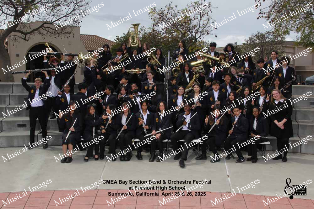 Musical Images